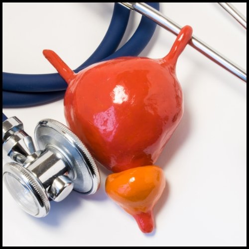 Healthy BladdeHydration Strategies for a Healthy Bladder - Healix Hospitals