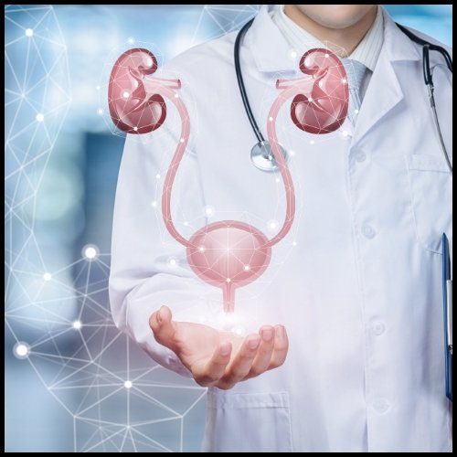 Hydration for urinary health - Healix Hospitals