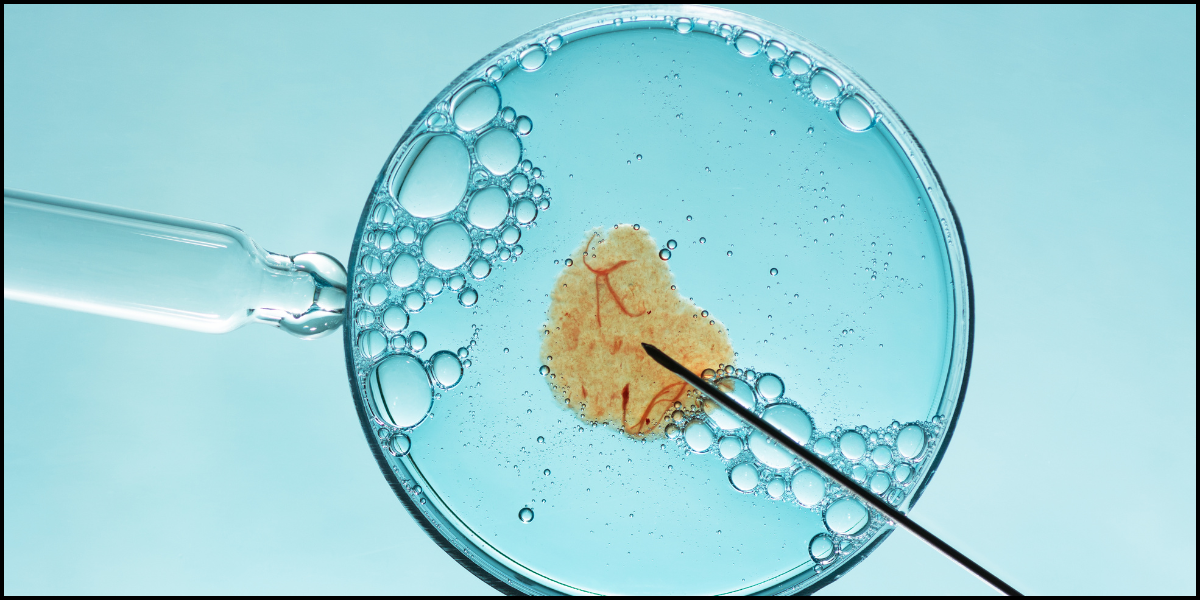 In Vitro Fertilization - Healix Hospitals