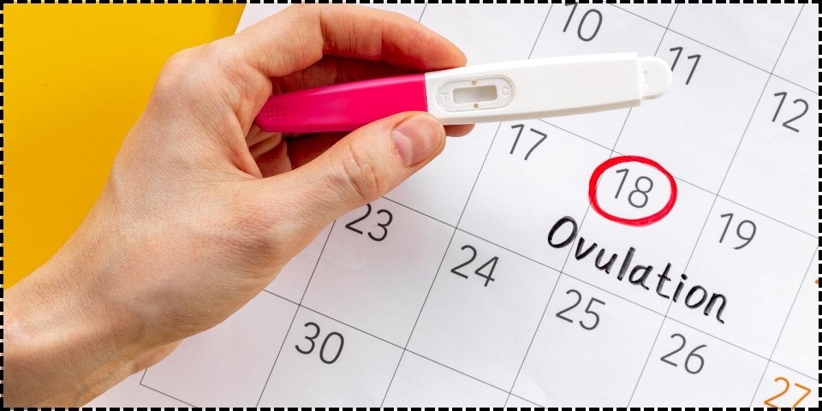 Ovulation testing for women - Healix Hospitals